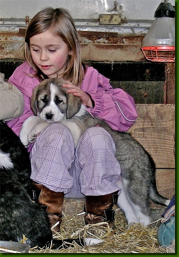 HundeKinder006