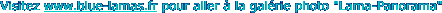 item11