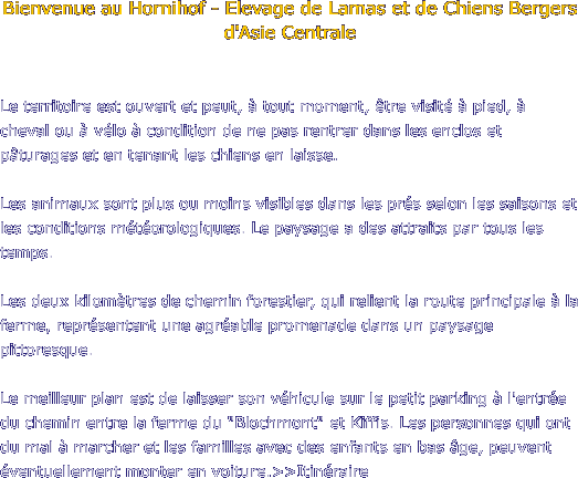 Bienvenue au Hornihof - Elevage