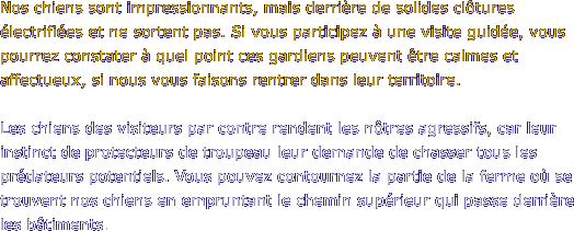 Nos chiens sont impressionnants, mais