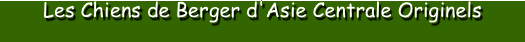 Les Chiens Bergers d'Asie Centrale