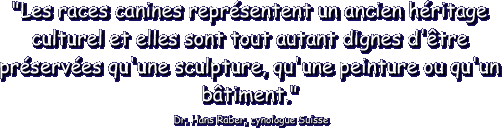 "Les races canines repr�sentent un