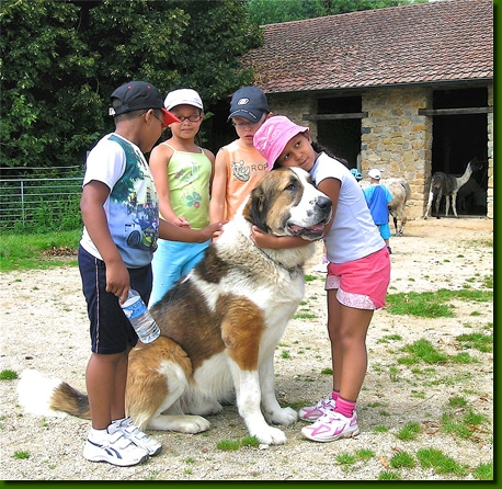 LamasVisites10